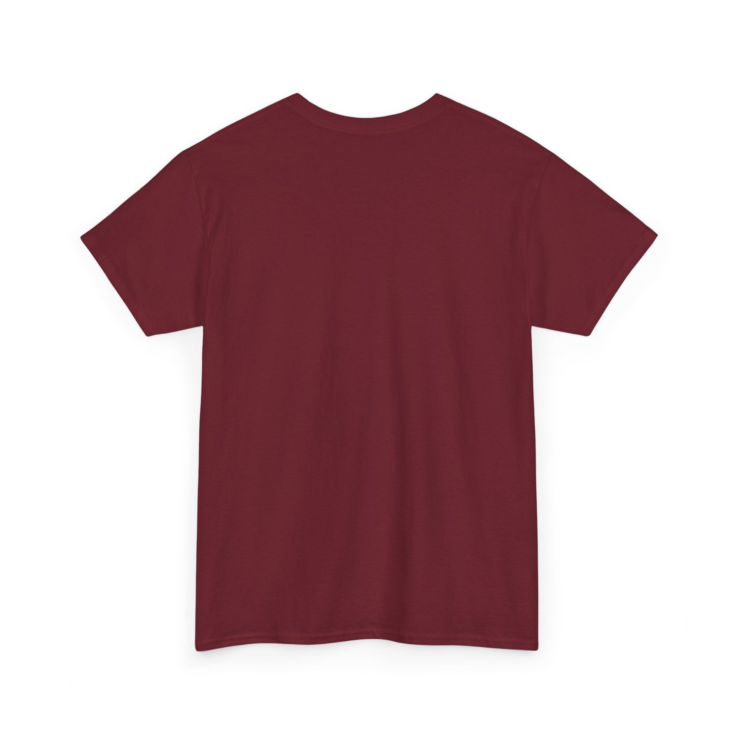 Inspirational Tee - "Roar Through Your Struggles Like a Lion" Unisex Shirt
