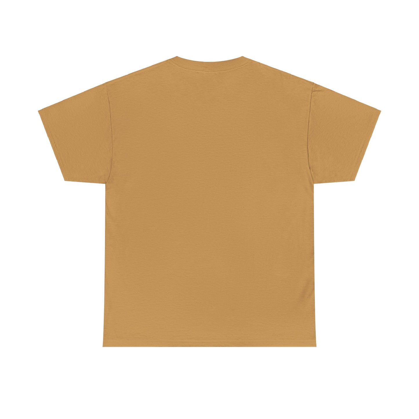 Classic Unisex Tee - Heavy Cotton