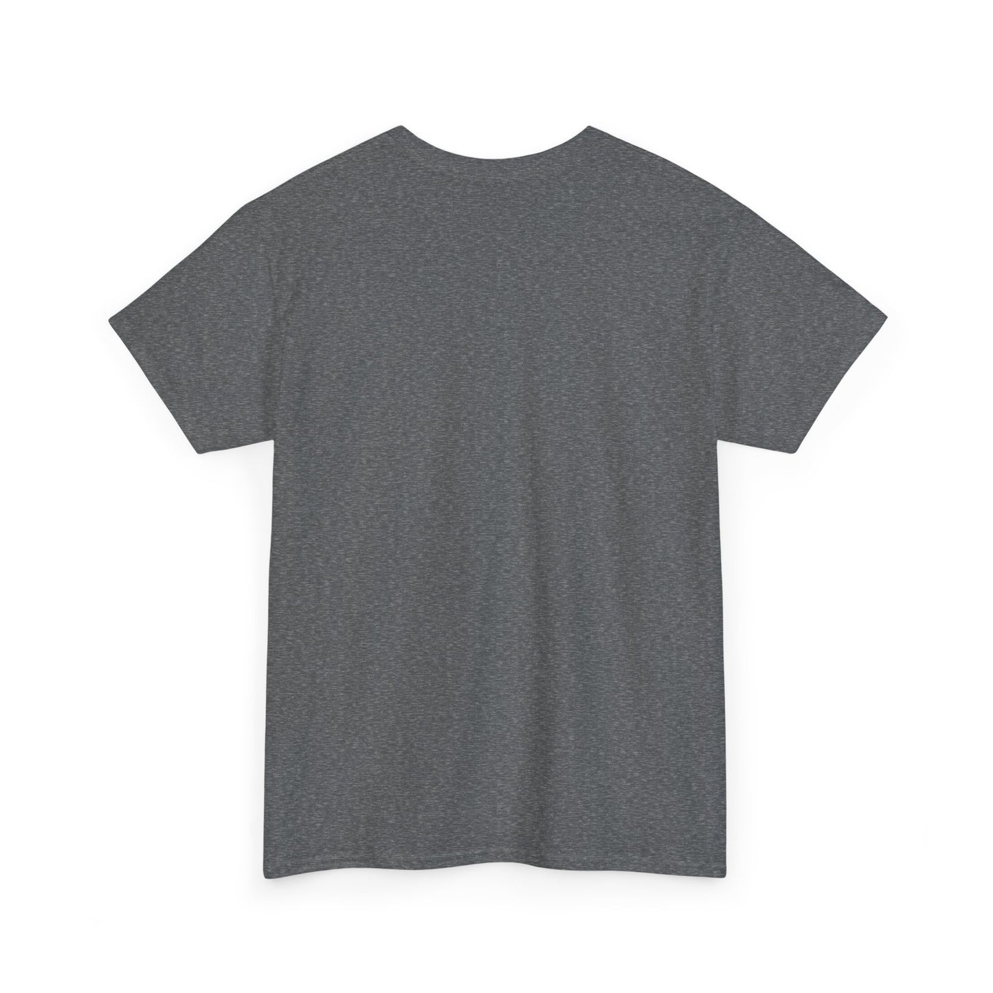 Classic Unisex Tee - Heavy Cotton