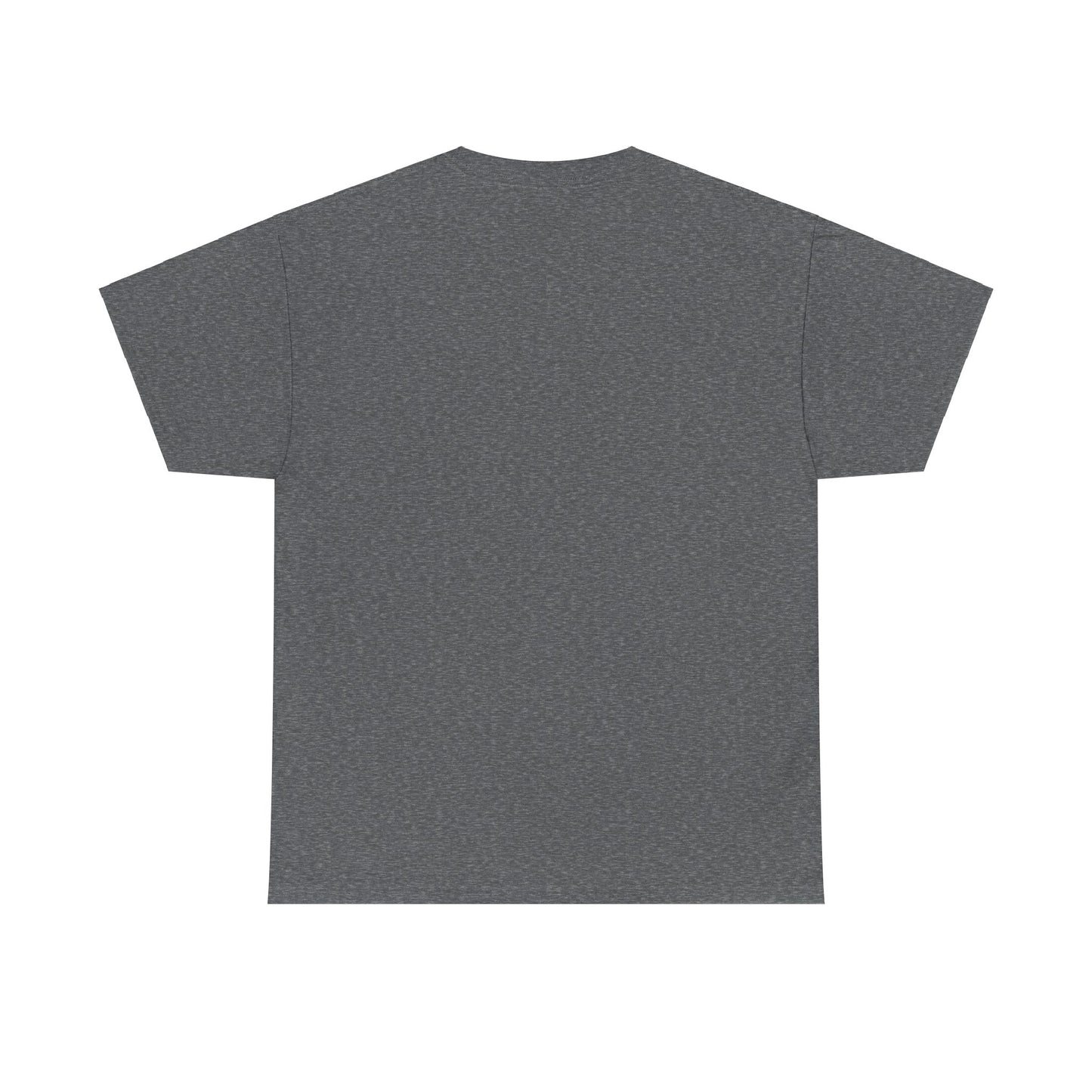 Classic Unisex Tee - Heavy Cotton